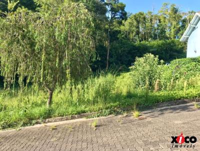 Terreno para Venda, em Nova Petrpolis, bairro Recanto dos Pltanos