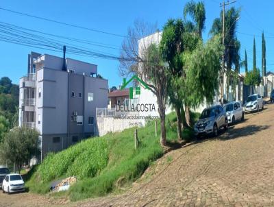 Terreno para Venda, em Carazinho, bairro centro