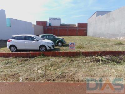 Terreno para Venda, em Barra Bonita, bairro Parque Industrial So Domingos