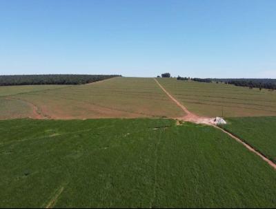 Fazenda para Venda, em Chapado do Sul, bairro Rural