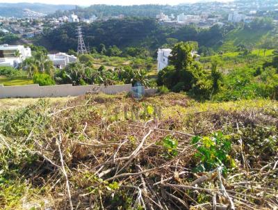 Terreno para Venda, em Concrdia, bairro Vila D`Itlia