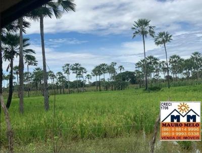 Fazenda para Venda, em Araioses, bairro .