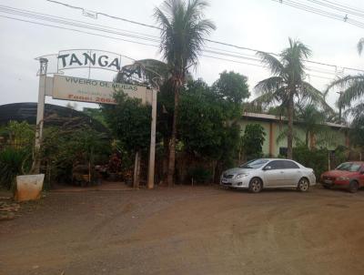 Terreno Industrial para Venda, em Maring, bairro Rodovia da Moda