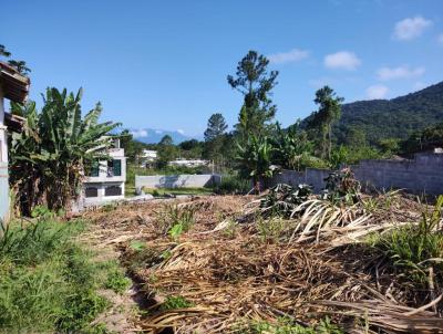 Terreno para Venda, em Caraguatatuba, bairro Loteamento Balnerio Massaguau