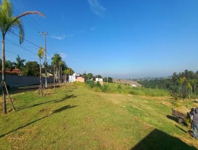 Terreno para Venda, em , bairro paraquadismo