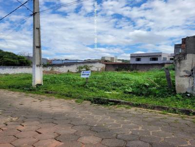 Lote para Venda, em Itajub, bairro Medicina