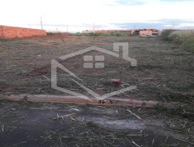 Terreno para Venda, em Bady Bassitt, bairro Jardim Tangar