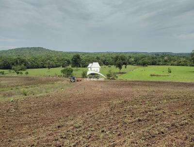 Fazenda para Venda, em Pedro Afonso, bairro Regio altamente produtiva