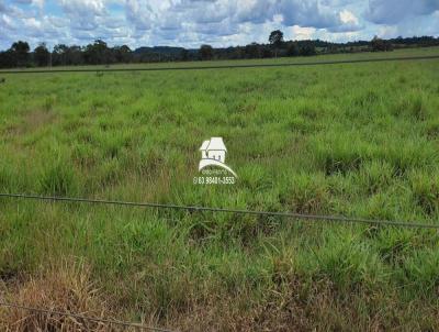 Fazenda para Venda, em Pedro Afonso, bairro Região altamente produtiva