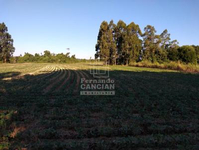 Stio / Chcara para Venda, em Santa Rosa, bairro Bonito