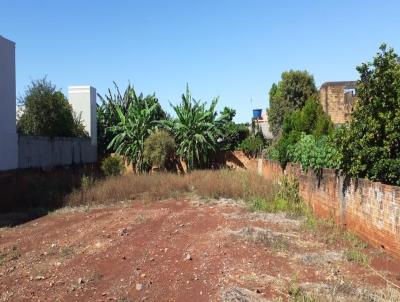 Terreno para Venda, em Marechal Cndido Rondon, bairro CENTRO