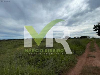 Fazenda para Venda, em Caldas Novas, bairro Zona Rural, 4 dormitrios, 2 banheiros