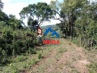 rea Rural para Venda, em Nova Esperana do Sul, bairro INTERIOR