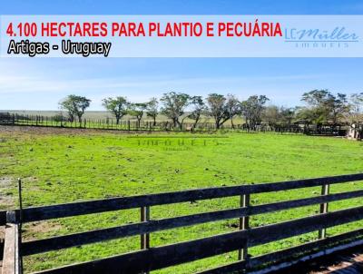 Fazenda para Venda, em , bairro Interior - Uruguay