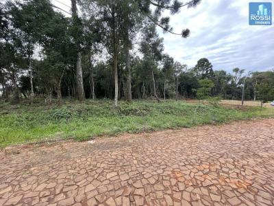 Terreno Residencial para Venda, em Erechim, bairro Boa Vista