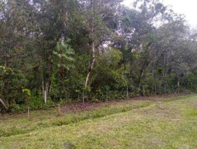 Terreno para Venda, em Itanham, bairro Gaivota