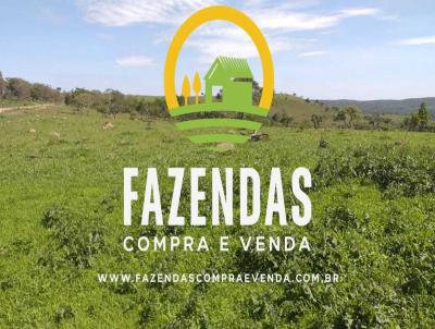 Fazenda para Venda, em Morrinhos, bairro Zona Rural