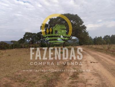 Fazenda para Venda, em Marzago, bairro Zona Rural