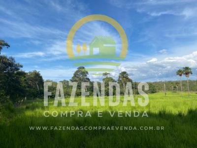 Fazenda para Venda, em Tasso Fragoso, bairro Zona Rural
