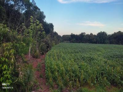 Fazenda para Venda, em Monte Santo do Tocantins, bairro 