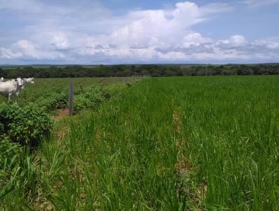 Fazenda para Venda, em Guara, bairro 