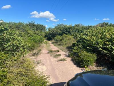 Fazenda para Venda, em So Raimundo Nonato, bairro 