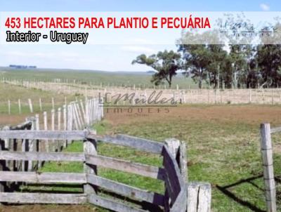 Fazenda para Venda, em , bairro Interior - Uruguay