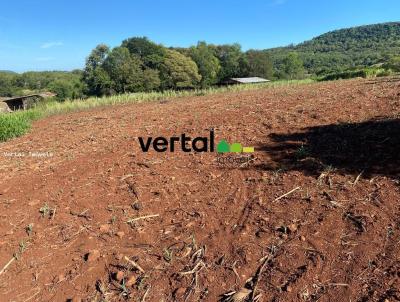 rea Rural para Venda, em Porto Vera Cruz, bairro Interior - Rural - pecuria - agricultura - bovino - reflorestamento - lavoura