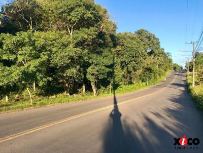 Terreno para Venda, em Nova Petrpolis, bairro Vila Germnia