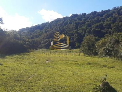 Terreno Rural para Venda, em Pouso Alegre, bairro CANTA GALO