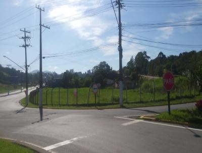 Terreno para Venda, em Bragana Paulista, bairro Itapechinga