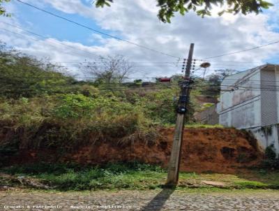 Terreno para Venda, em Cataguases, bairro Colinas