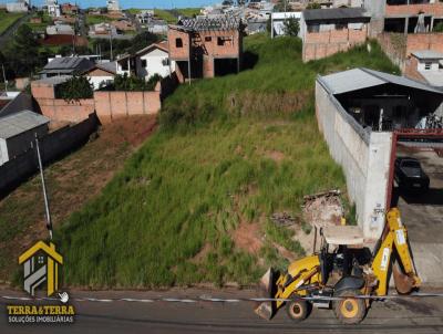 Terreno para Venda, em Telmaco Borba, bairro Jardim Alegre