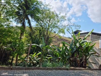 Terreno para Venda, em Cataguases, bairro Menezes