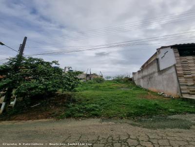 Terreno para Venda, em Cataguases, bairro Carijos