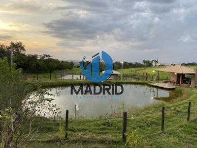 Stio para Venda, em Monte Alto, bairro Tabarana, 2 banheiros