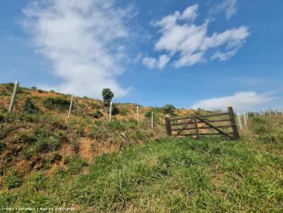 Terreno para Venda, em Cataguases, bairro zona rural