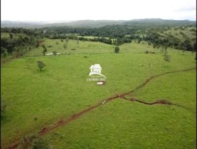 Fazenda para Venda, em Balsas, bairro Regio muito produtiva englobando Riacho, Balsas e Feira Nova