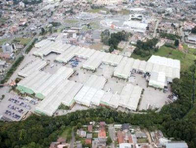 Galpo para Locao, em So Jos dos Pinhais, bairro guas Belas, 4 banheiros