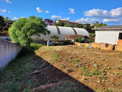 Terreno Urbano para Venda, em Palmas, bairro Santurio