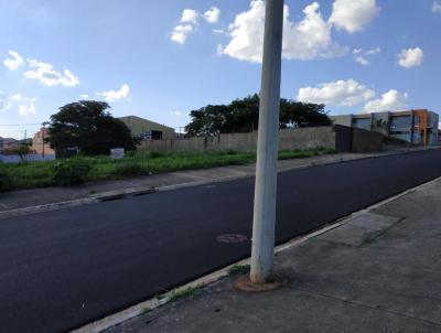 Terreno para Venda, em Ribeiro Preto, bairro Alto da Boa Vista