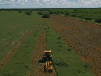 Fazenda para Venda, em Verdelndia, bairro 