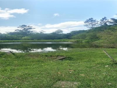 Stio / Chcara para Venda, em , bairro Costa Ipiranga