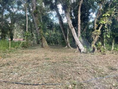 Terreno para Venda, em Ubatuba, bairro Ubatumirim