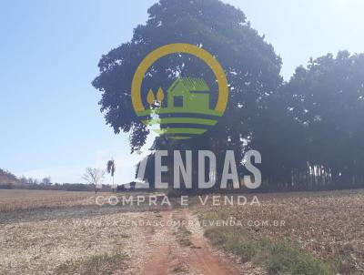 Fazenda para Venda, em Quirinpolis, bairro Zona Rural