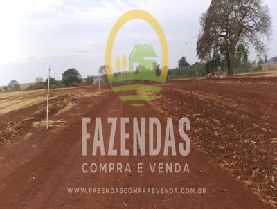 Fazenda para Venda, em Quirinpolis, bairro Zona Rural