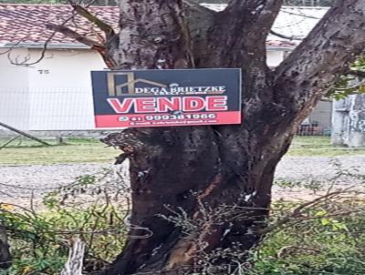 Terreno para Venda, em Triunfo, bairro Olaria