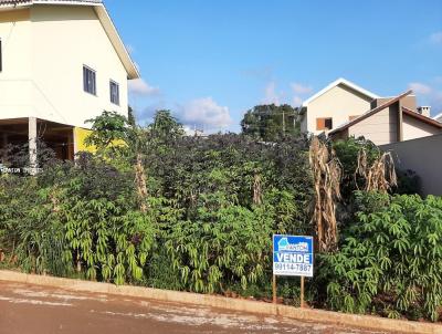Terreno para Venda, em So Jos do Cedro, bairro LOTEAMENTO GRAF