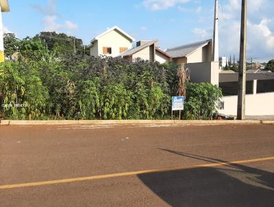 Terreno para Venda, em So Jos do Cedro, bairro LOTEAMENTO GRAF