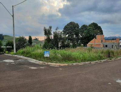 Terreno para Venda, em So Jos do Cedro, bairro Loteamento Gnoatto